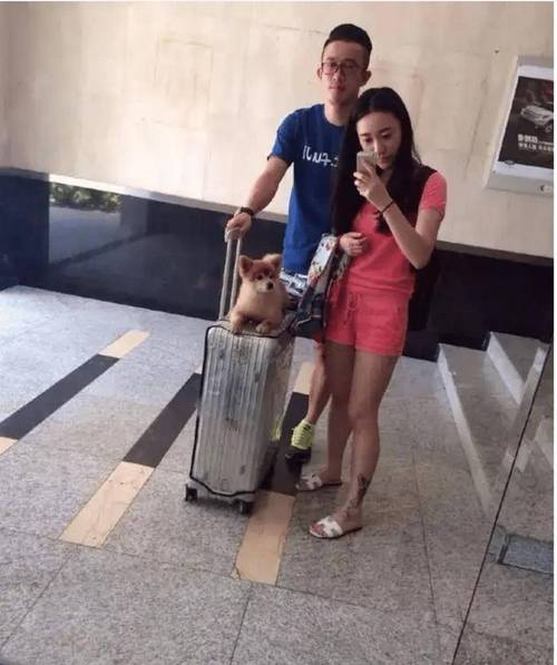 调查找人公司怎么说_找人调查公司_调查找人公司成功后付费