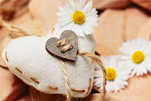 淡感情的人叫什么人_感情渐渐淡了_淡感情什么意思