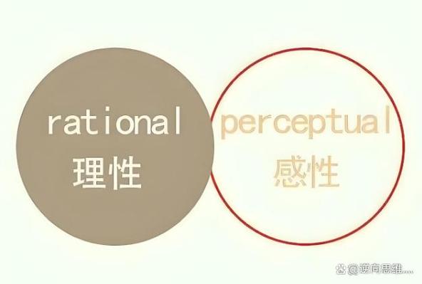 理智与情感_理智情感语录_理智情感什么关系