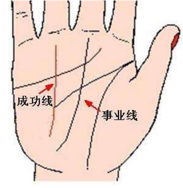 智慧线和感情线有_感情线_感情线手相
