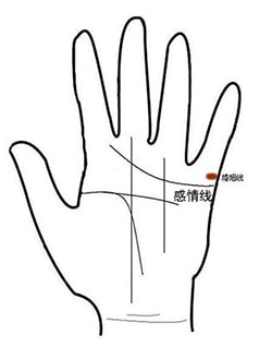 感情线分叉线连到智慧线_智慧线和感情线有连接_感情线