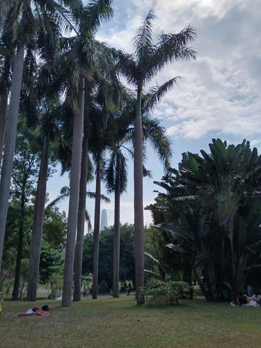 情感线怎么看图_感情线路图_感情线图解