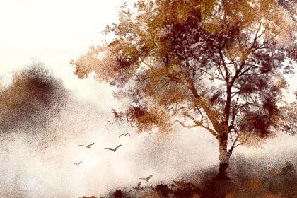 挽回夫妻感情的感人话_挽回夫妻感情_挽回夫妻感情保证书