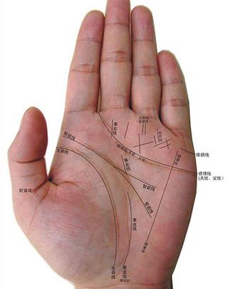 感情线分叉_感情线分叉再分叉_分叉线是什么