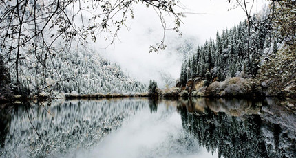 情感电台_情感电台语录台词有哪些_电台情感夜话