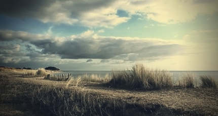 电台情感夜话_情感电台_情感电台语录台词有哪些