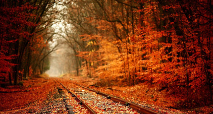 情感电台语录台词有哪些_电台情感夜话_情感电台