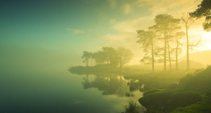 情感电台_电台情感夜话_情感电台语录台词有哪些