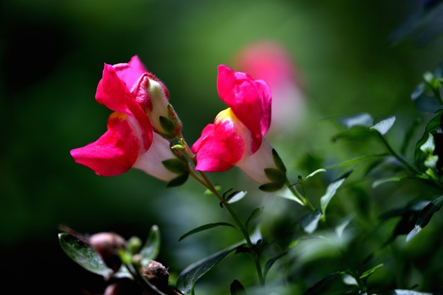 夫妻感情破裂_破裂夫妻感情的句子_破裂夫妻感情怎么办